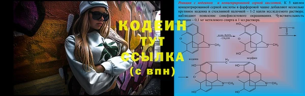 спайс Няндома
